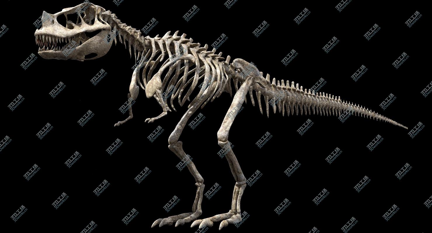 images/goods_img/202104093/Ceratosaurus Anatomy 3D model/4.jpg